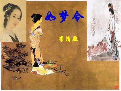 如梦令·昨夜雨疏风骤