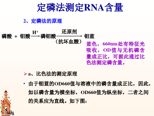 浙江大学生物化学实验甲定磷法测定RNA含量