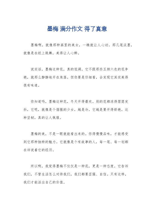 墨梅 满分作文 得了真意