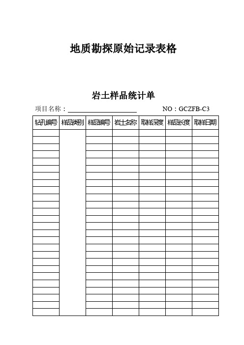 地质勘探原始记录表格【范本模板】