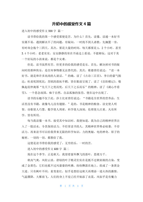 升初中的感受作文4篇