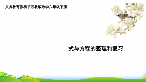 苏教版六年级下册数学课件 《11、式与方程(1)》(1) (共25张PPT)