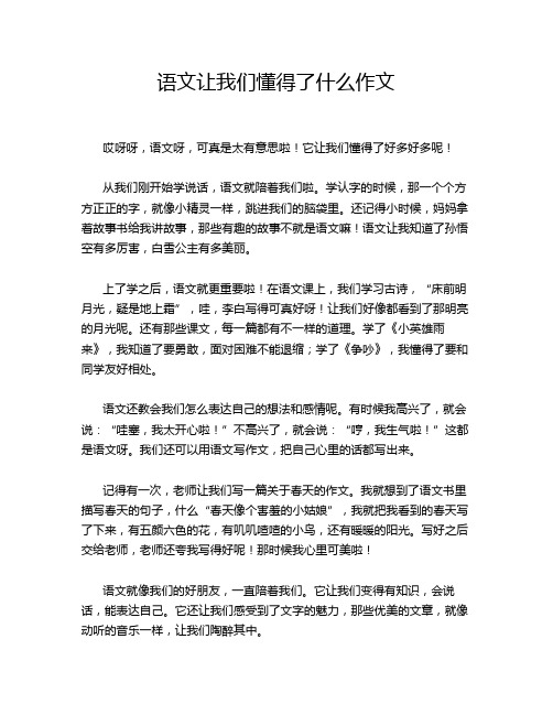 语文让我们懂得了什么作文