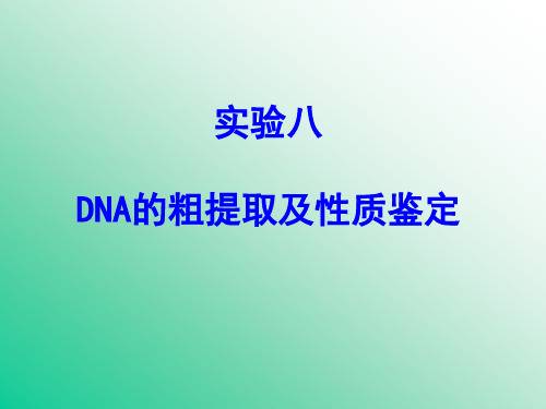 DNA的提取及性质鉴定