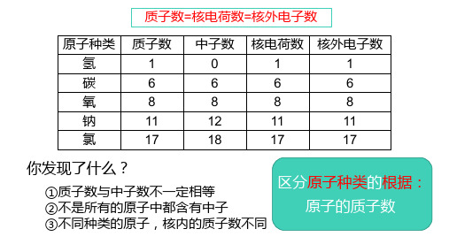 华师大版八年级上册科学第六章03元素1(课件28)