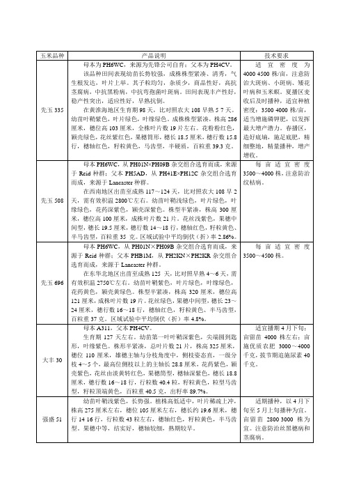 玉米品种简介