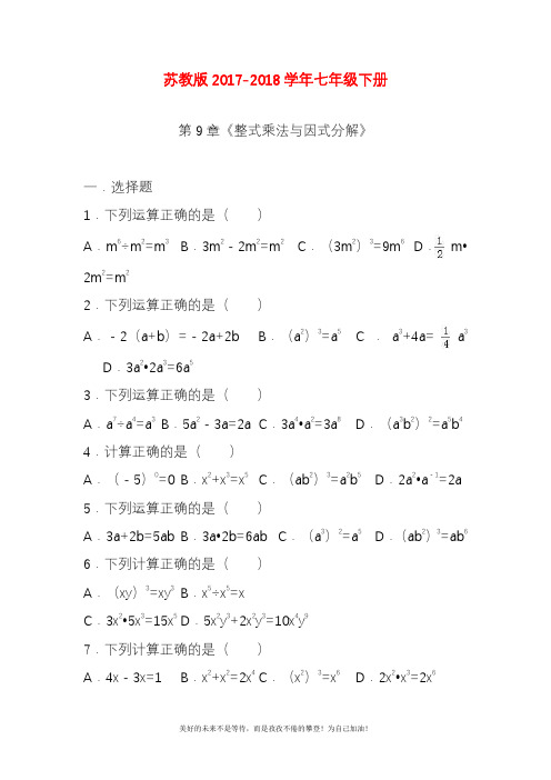 新苏教版七年级数学下册《整式乘法与因式分解》题及答案详解(精品试卷).docx