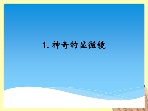 湘科版 小学科学五年级下册 神奇的显微镜_教学课件