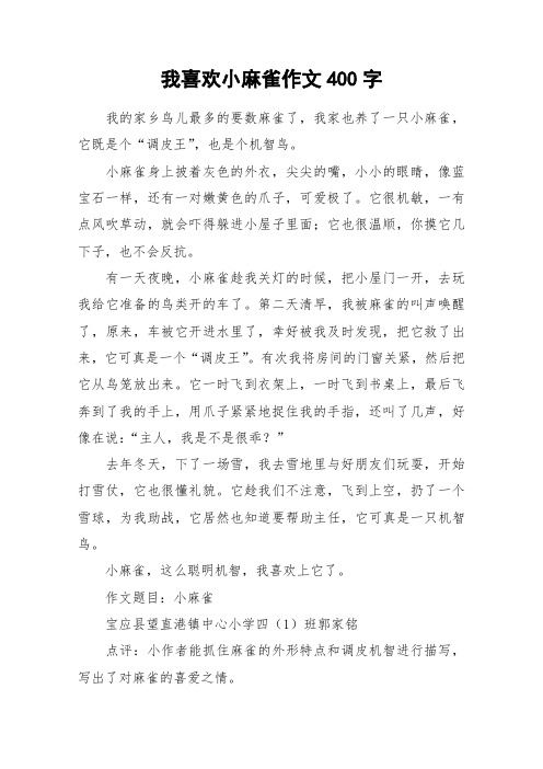 我喜欢小麻雀作文400字_作文