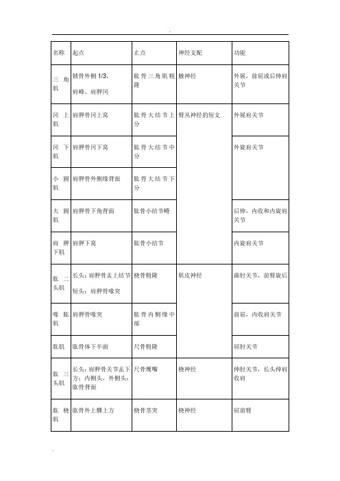 肌肉的起止点及神经支配总结