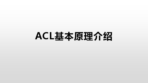 ACL基本原理介绍