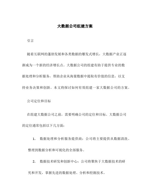 大数据公司组建方案