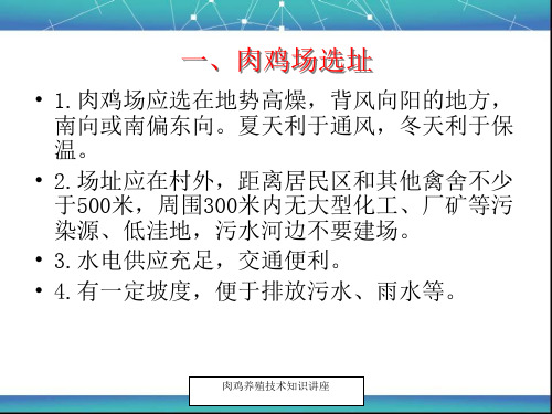 肉鸡养殖技术详解ppt课件