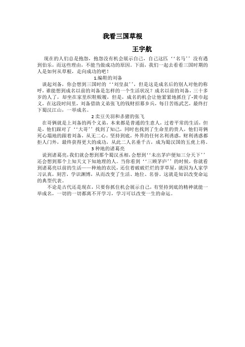 学生作文《我看三国草根》