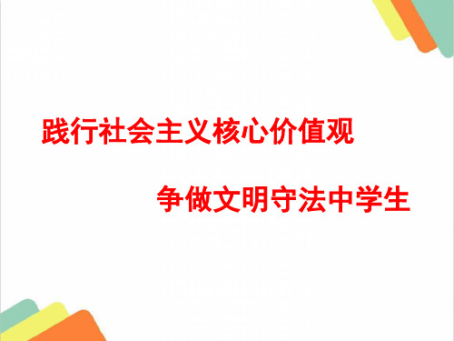 践行社会主义核心价值观,争做文明守法中学生