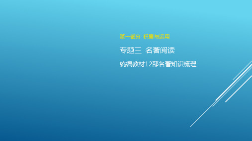 2024年中考语文(福建地区)专题复习：名著知识梳理《艾青诗选》课件(共15张PPT)