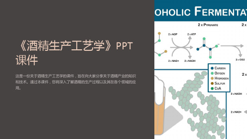 《酒精生产工艺学》课件