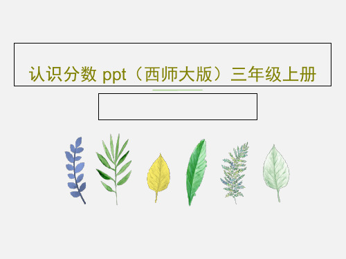 认识分数 ppt(西师大版)三年级上册30页文档