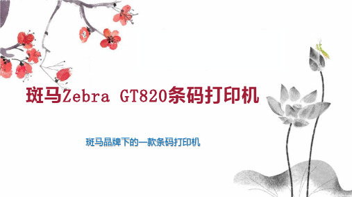 斑马Zebra GT820条码打印机