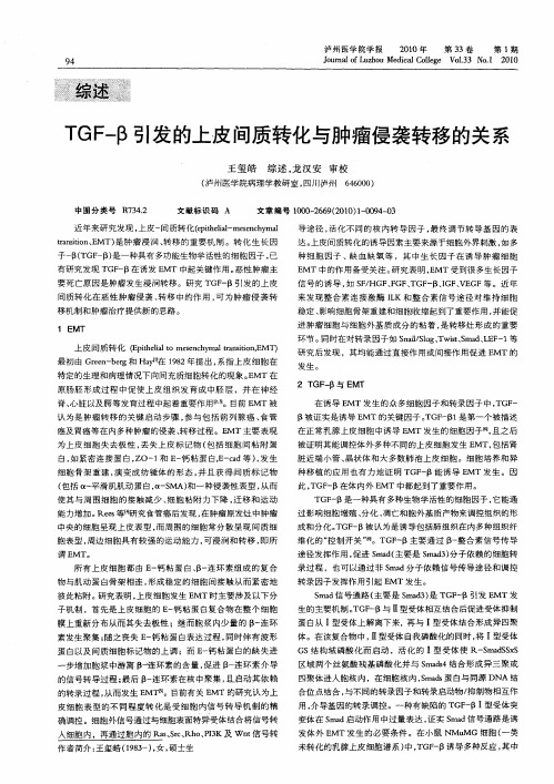 TGF-β引发的上皮间质转化与肿瘤侵袭转移的关系