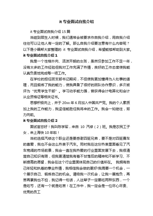 it专业面试自我介绍15篇