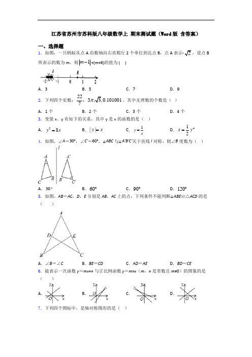 江苏省苏州市苏科版八年级数学上 期末测试题(Word版 含答案)