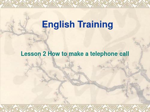 Lesson 2  How to make a telephone call