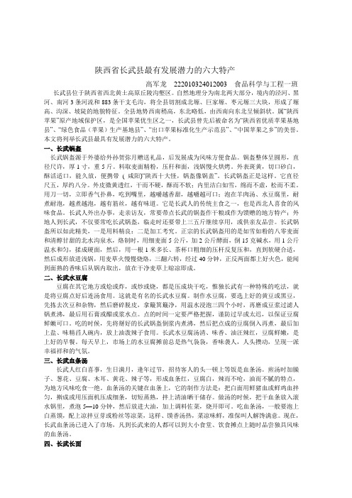 陕西省长武县最有发展潜力的十大特产