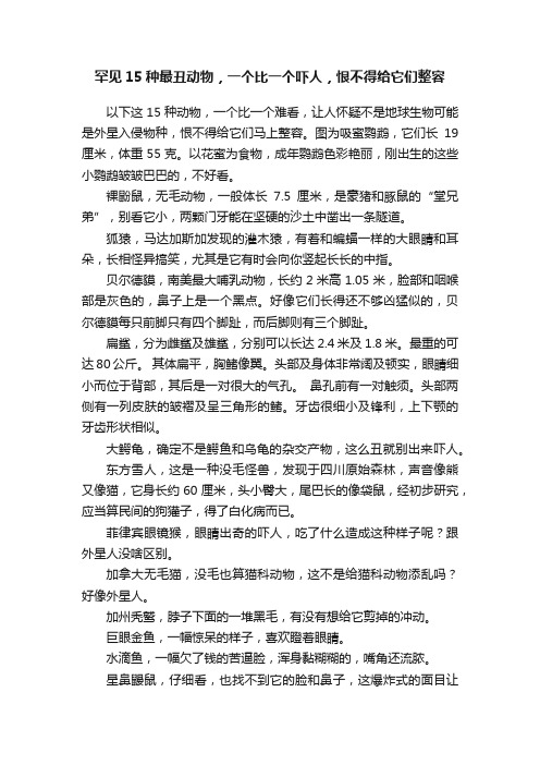 罕见15种最丑动物，一个比一个吓人，恨不得给它们整容