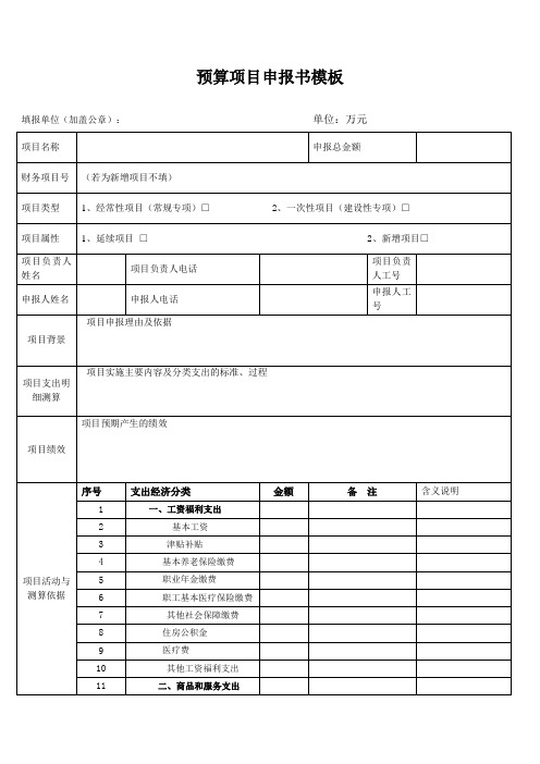 预算项目申报书模板