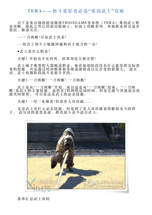 TERA——格斗爱好者必选“重剑武士”攻略