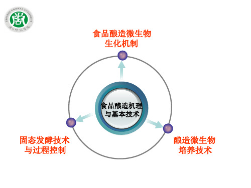 4.固态发酵技术与过程控制