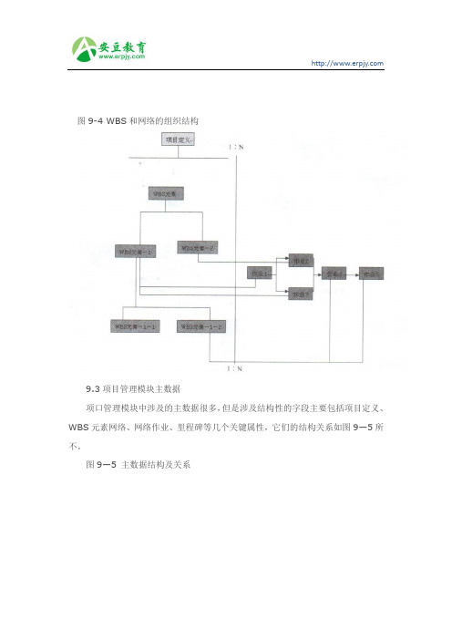 SAPWBS和网络的组织结构