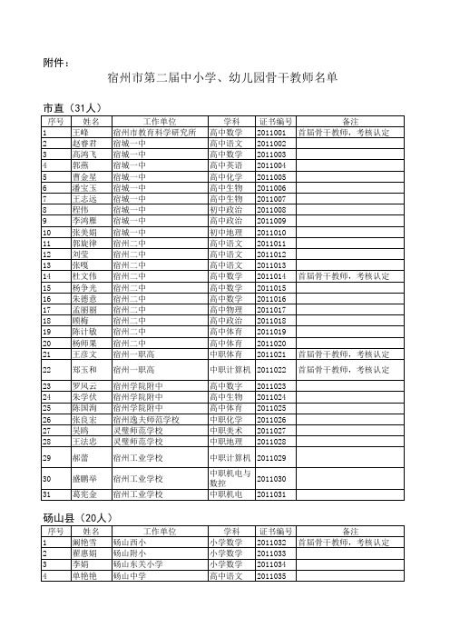 安徽宿州市第二届骨干教师名单