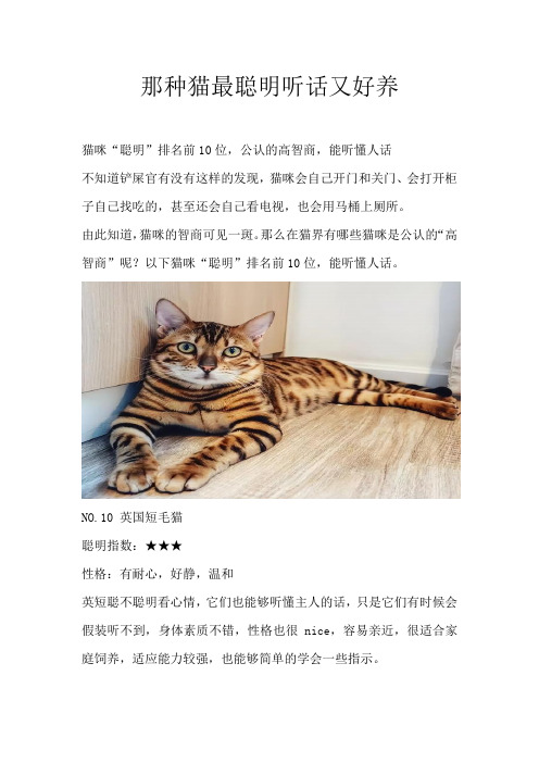 哪种猫最聪明听话又好养