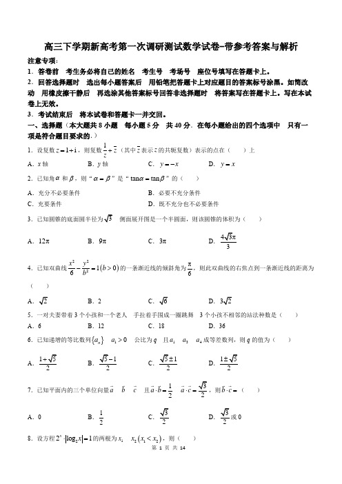 高三下学期新高考第一次调研测试数学试卷-带参考答案与解析