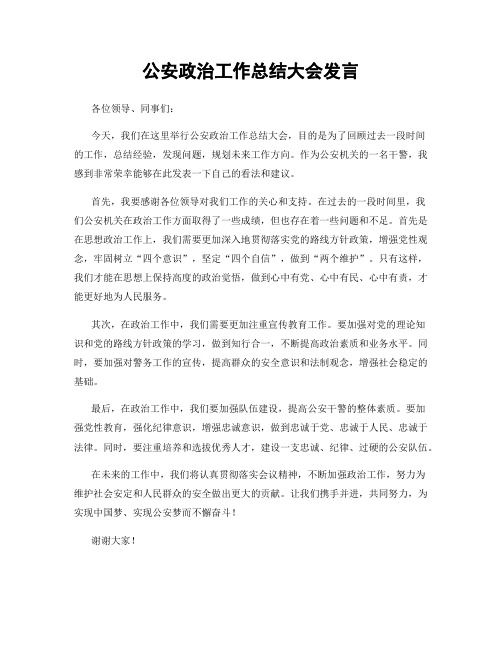 公安政治工作总结大会发言