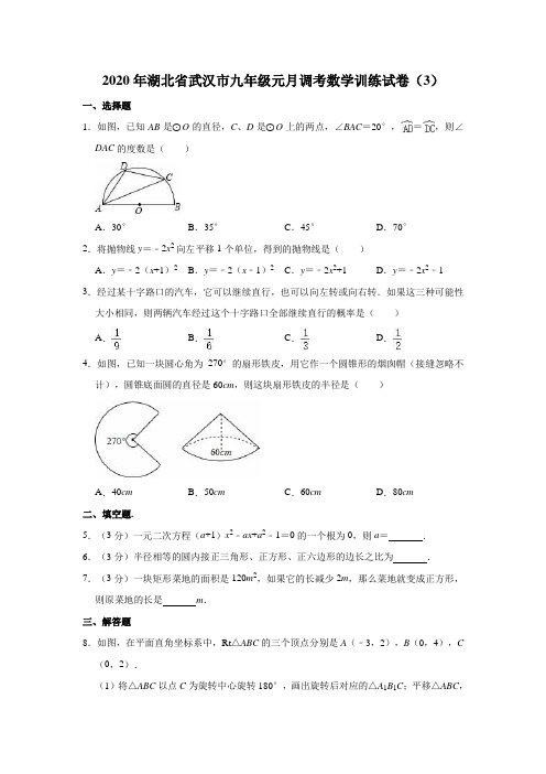 2020年湖北省武汉市九年级元月调考数学训练试卷(3)(解析版)