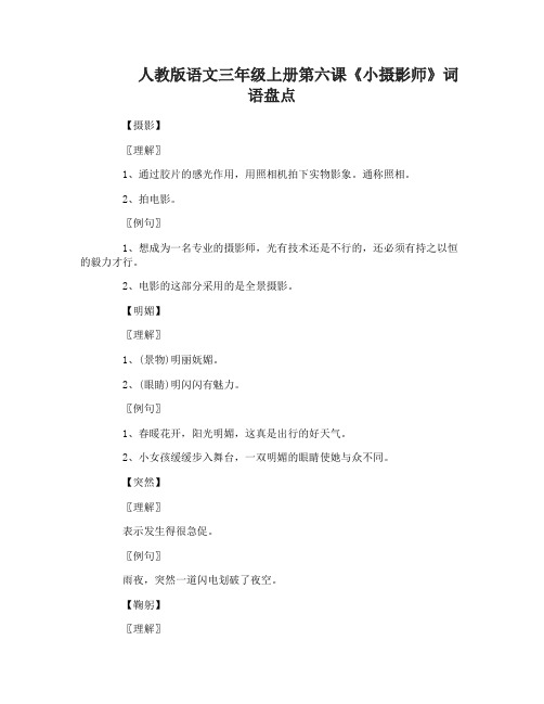 人教版语文三年级上册第六课小摄影师词语盘点