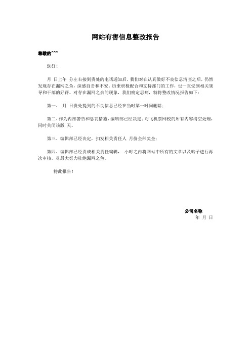 网站整改报告