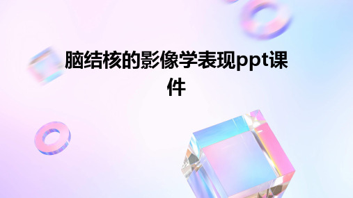 脑结核的影像学表现PPT课件