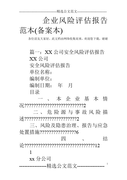 企业风险评估报告范本(备案本)