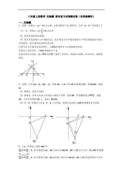 八年级上册数学 压轴题 期末复习试卷测试卷(含答案解析)