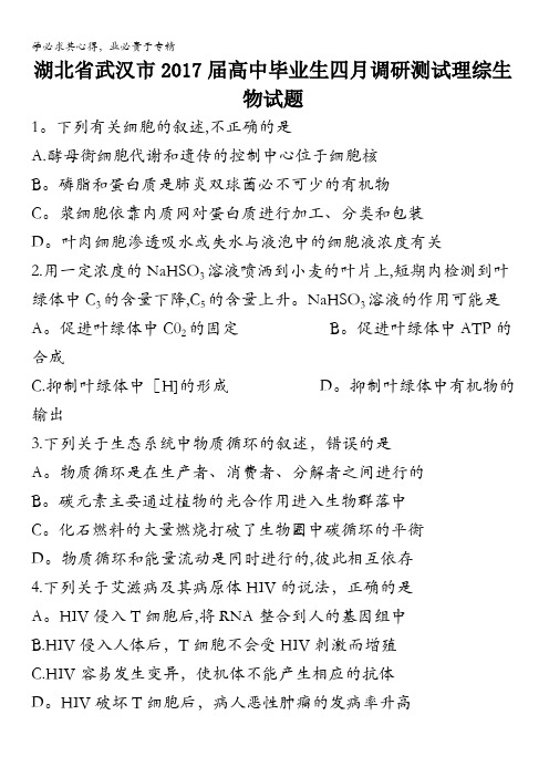 湖北省武汉市2017届高中毕业生四月调研测试理科综合试题含答案