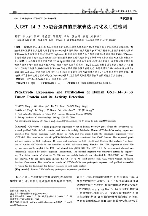 人GST-14-3-3σ融合蛋白的原核表达、纯化及活性检测