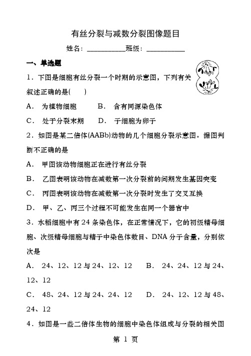 专题有丝减数与有丝分裂图像题目及答案