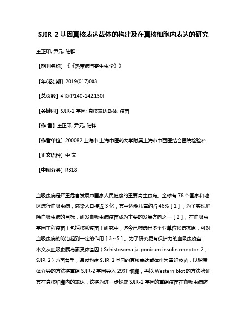 SJIR-2基因真核表达载体的构建及在真核细胞内表达的研究
