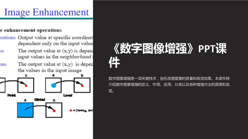 《数字图像增强》课件