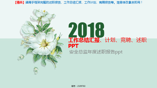 安全总监年度述职报告ppt-2018最新精品PPT模板