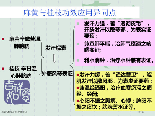 麻黄与桂枝功效应用异同点